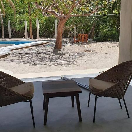 Marysol Great Views Beachfront Next To Nomads D3 Isla Mujeres Eksteriør bilde