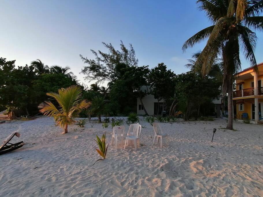 Marysol Great Views Beachfront Next To Nomads D3 Isla Mujeres Eksteriør bilde