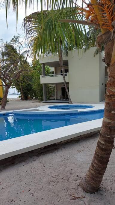 Marysol Great Views Beachfront Next To Nomads D3 Isla Mujeres Eksteriør bilde