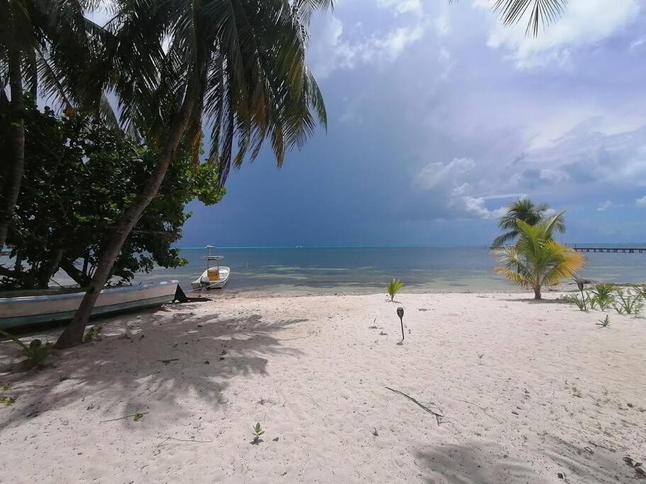 Marysol Great Views Beachfront Next To Nomads D3 Isla Mujeres Eksteriør bilde
