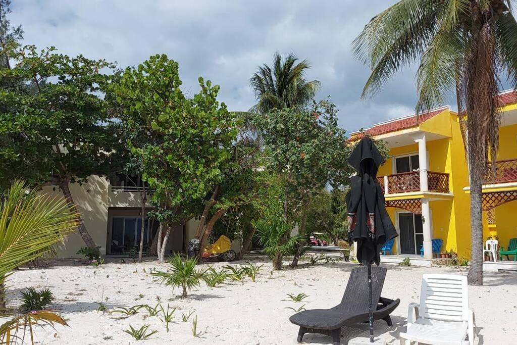 Marysol Great Views Beachfront Next To Nomads D3 Isla Mujeres Eksteriør bilde