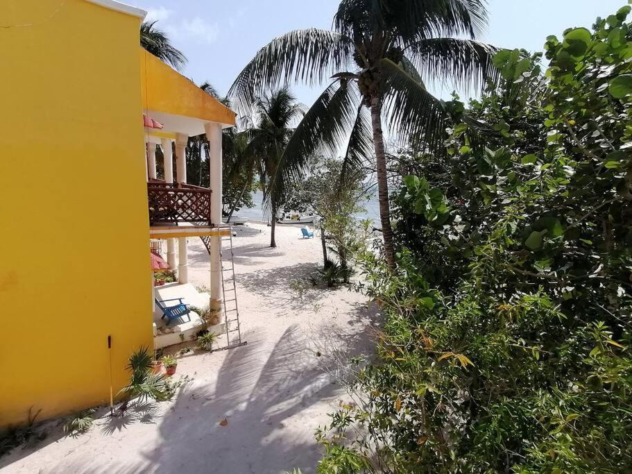 Marysol Great Views Beachfront Next To Nomads D3 Isla Mujeres Eksteriør bilde