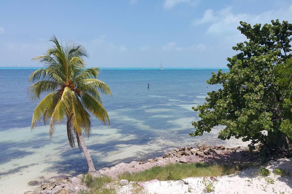 Marysol Great Views Beachfront Next To Nomads D3 Isla Mujeres Eksteriør bilde